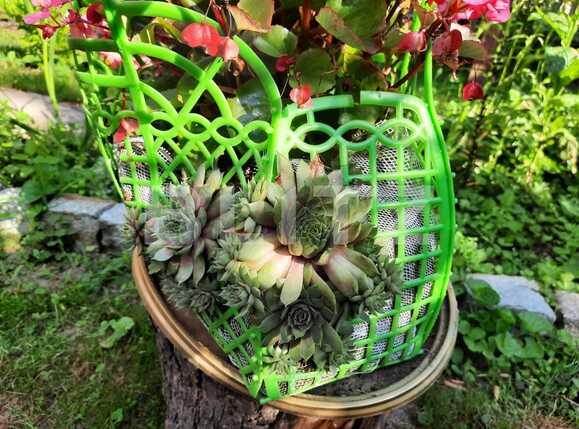 Casa de vânzare 2 camere Baciu - 53633CV | BLITZ Cluj-Napoca | Poza10