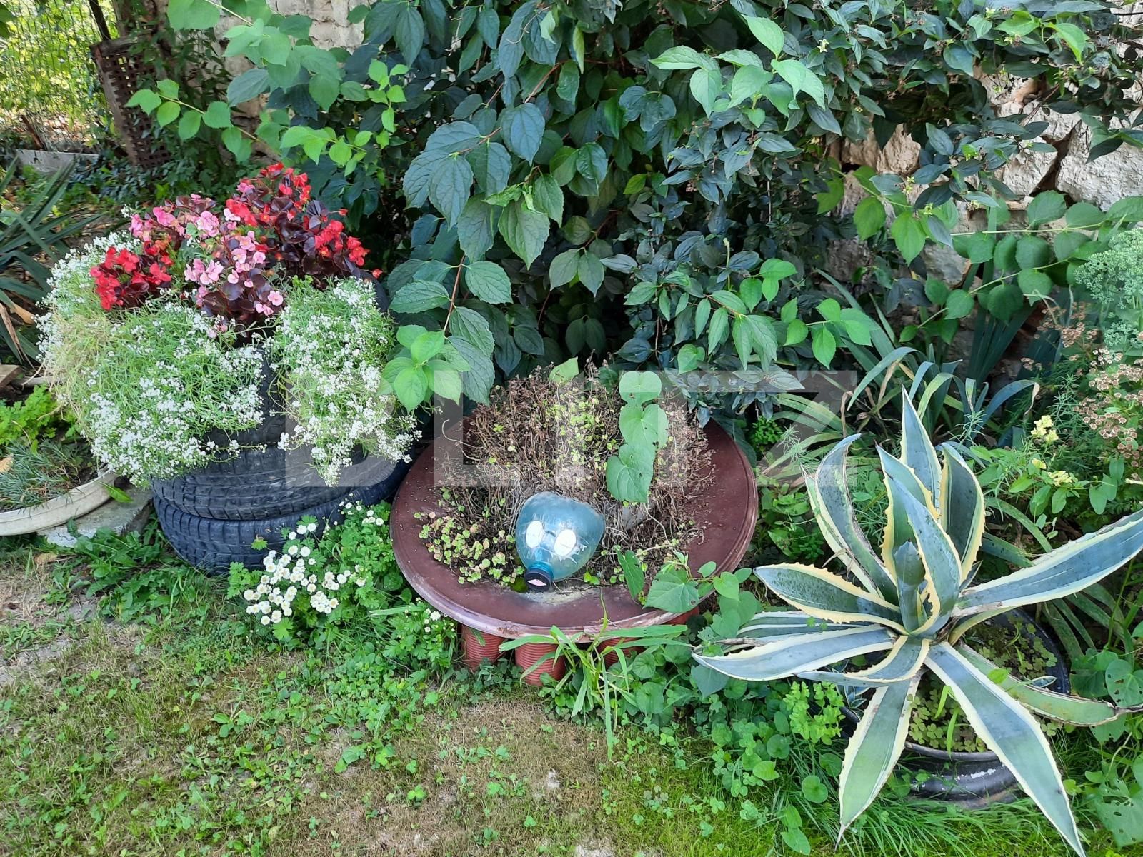 Casa de vânzare 2 camere Baciu - 53633CV | BLITZ Cluj-Napoca | Poza7