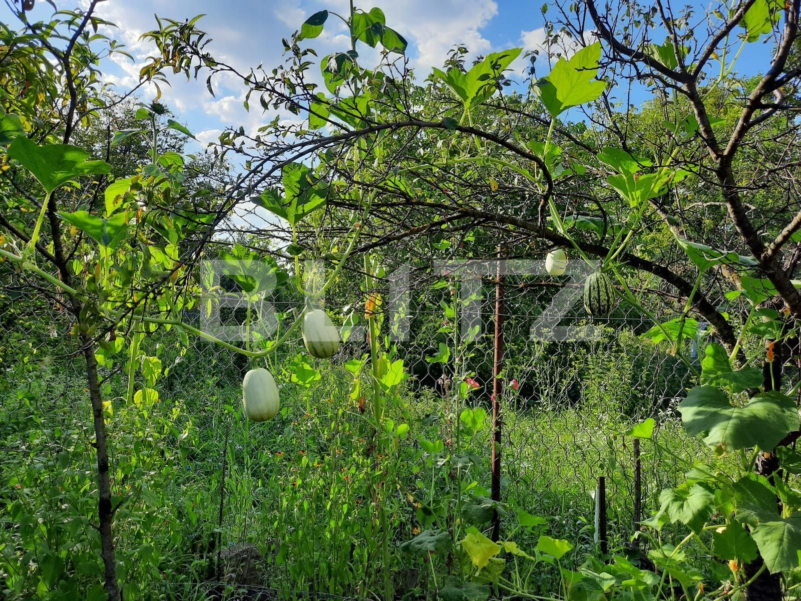 Casa de vânzare 2 camere Baciu - 53633CV | BLITZ Cluj-Napoca | Poza11