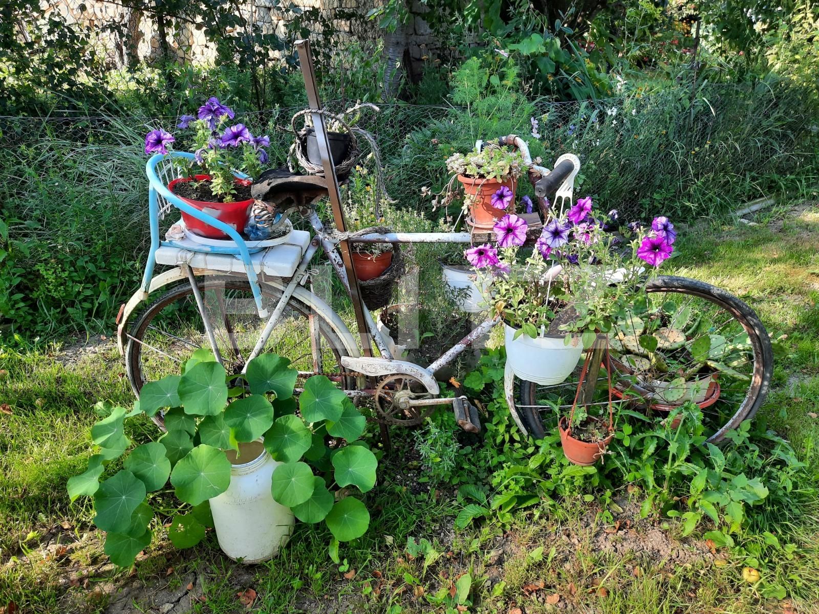 Casa de vânzare 2 camere Baciu - 53633CV | BLITZ Cluj-Napoca | Poza6