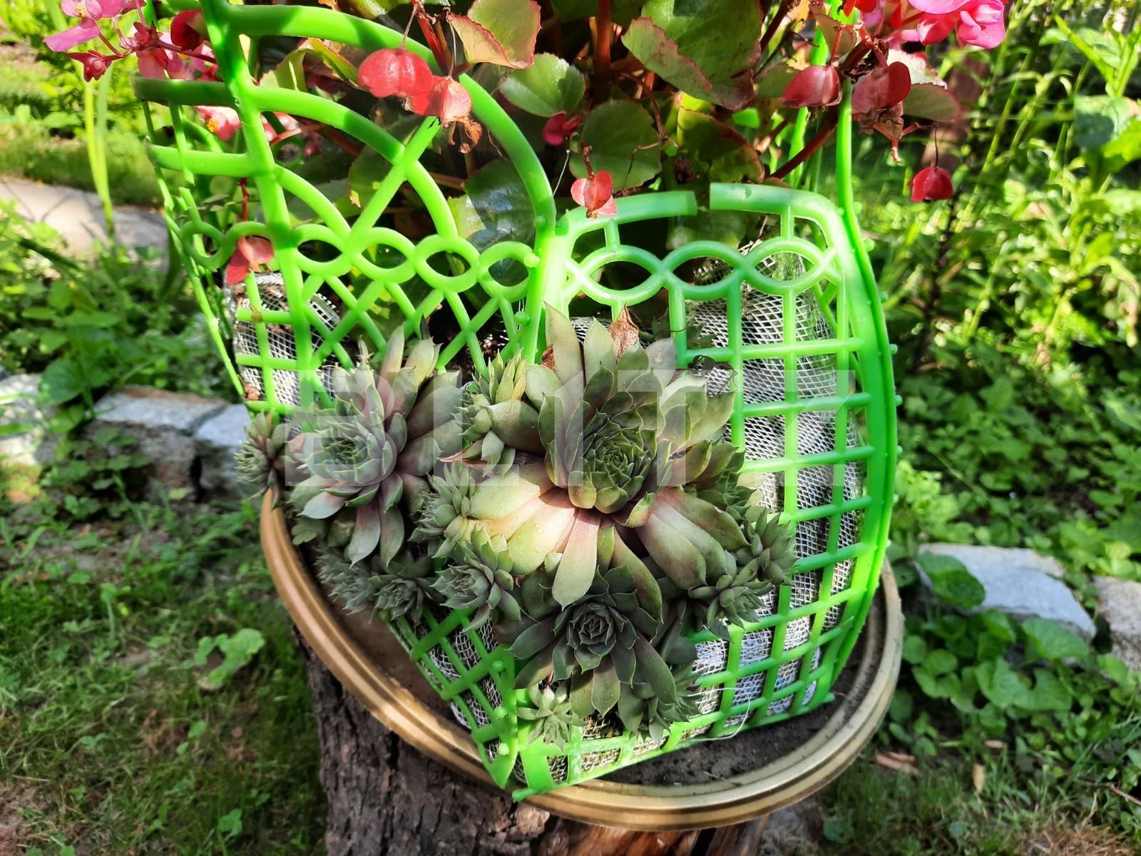 Casa de vânzare 2 camere Baciu - 53633CV | BLITZ Cluj-Napoca | Poza10