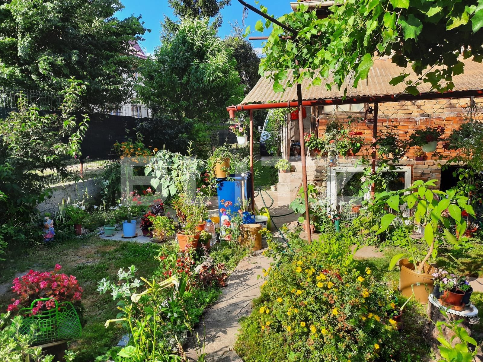 Casa de vânzare 2 camere Baciu - 53633CV | BLITZ Cluj-Napoca | Poza2