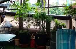 Oportunitate! Casa la pret de apartament