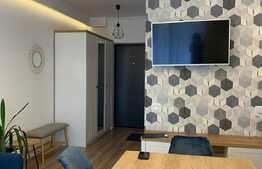 Apartament cu 3 camere, 55 mp, prima inchiriere, totul nou, zona strazii Mihai Romanul