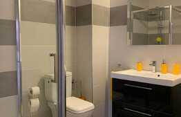 Apartament cu 3 camere, 55 mp, prima inchiriere, totul nou, zona strazii Mihai Romanul