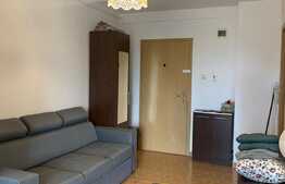 Apartament cu 2 camere, 50 mp, parcare, pet friendly, zona strazii Gheorghe Dima
