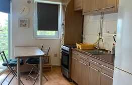 Apartament cu 2 camere, 50 mp, parcare, pet friendly, zona strazii Gheorghe Dima