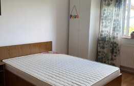 Apartament cu 2 camere, 50 mp, parcare, pet friendly, zona strazii Gheorghe Dima
