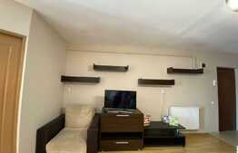 Apartament 1 camera decomandat, 47 mp, zona strazii Ciocarliei