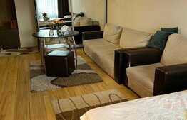 Apartament 1 camera decomandat, 47 mp, zona strazii Ciocarliei