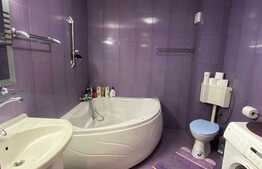 Apartament 1 camera decomandat, 47 mp, zona strazii Ciocarliei