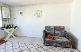 Garsoniera 21mp, zona LOMBULUI, Dambu Rotund