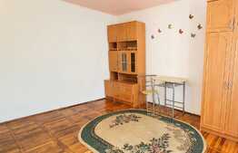 Garsoniera 21 mp + garaj, bloc renovat, zona Expo Transilvania 