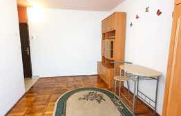 Garsoniera 21 mp + garaj, bloc renovat, zona Expo Transilvania 