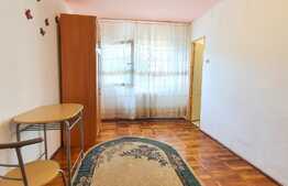 Garsoniera 21 mp + garaj, bloc renovat, zona Expo Transilvania 