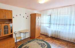 Garsoniera 21 mp + garaj, bloc renovat, zona Expo Transilvania 