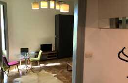 Apartament 1 camera, 45 mp, zona Calea Motilor