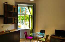 Apartament 1 camera, 45 mp, zona Calea Motilor