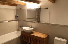 Apartament 1 camera, 45 mp, zona Calea Motilor