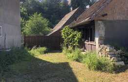 Casa de vacanta la Vistea