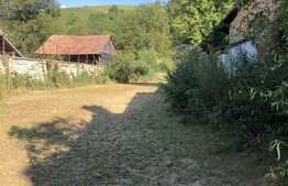 Casa de vacanta la Vistea