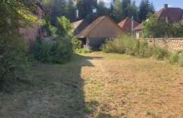 Casa de vacanta la Vistea