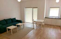 Apartament 2 camere, mobilat lux, zona USAMV