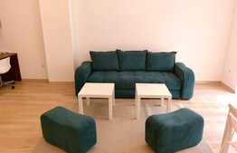 Apartament 2 camere, mobilat lux, zona USAMV