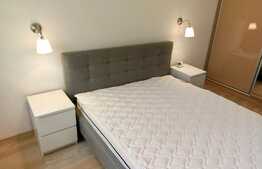 Apartament 2 camere, mobilat lux, zona USAMV