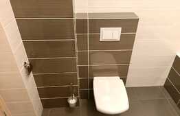 Apartament 2 camere, mobilat lux, zona USAMV