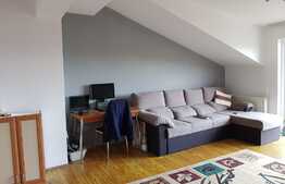 Oportunitate! Apartament 2 camere, 48mp, balcon, loc parcare! Zona strazii Florilor!