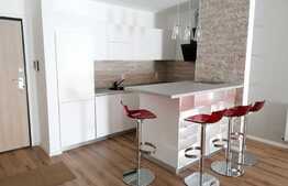 Apartament cu 2 camere, 50 mp, mobilat modern, zona Platinia