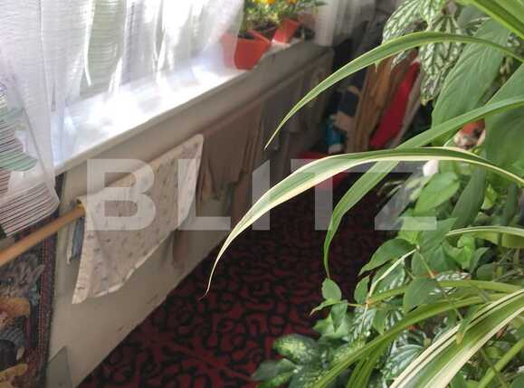 Apartament de vânzare 3 camere Manastur - 53781AV | BLITZ Cluj-Napoca | Poza10