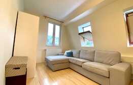 Apartament 2 camere in VILA , AC,50 mp, parcare in curte. Zona strazii Ciocarliei, Marasti