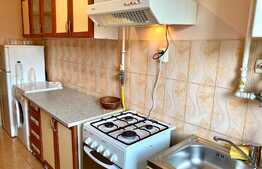 Apartament 1 camera, 46 mp, zona strazii Gheorghe Dima, zona UMF, 