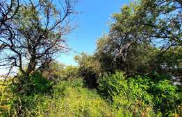 Teren cu panorama deosebita, suprafata de 3300mp, zona Wonderland