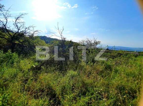 Teren de vânzare Feleacu - 53800TV | BLITZ Cluj-Napoca | Poza4