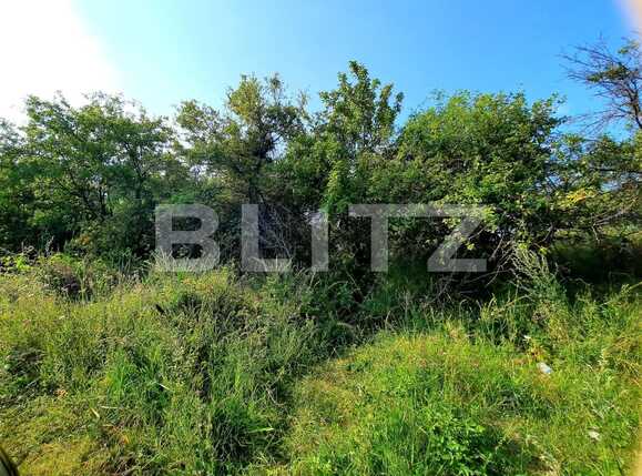 Teren de vânzare Feleacu - 53800TV | BLITZ Cluj-Napoca | Poza5