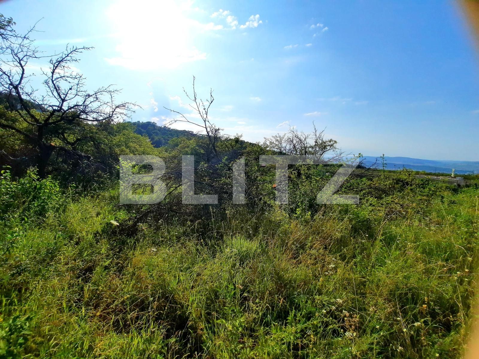 Teren de vânzare Feleacu - 53800TV | BLITZ Cluj-Napoca | Poza4