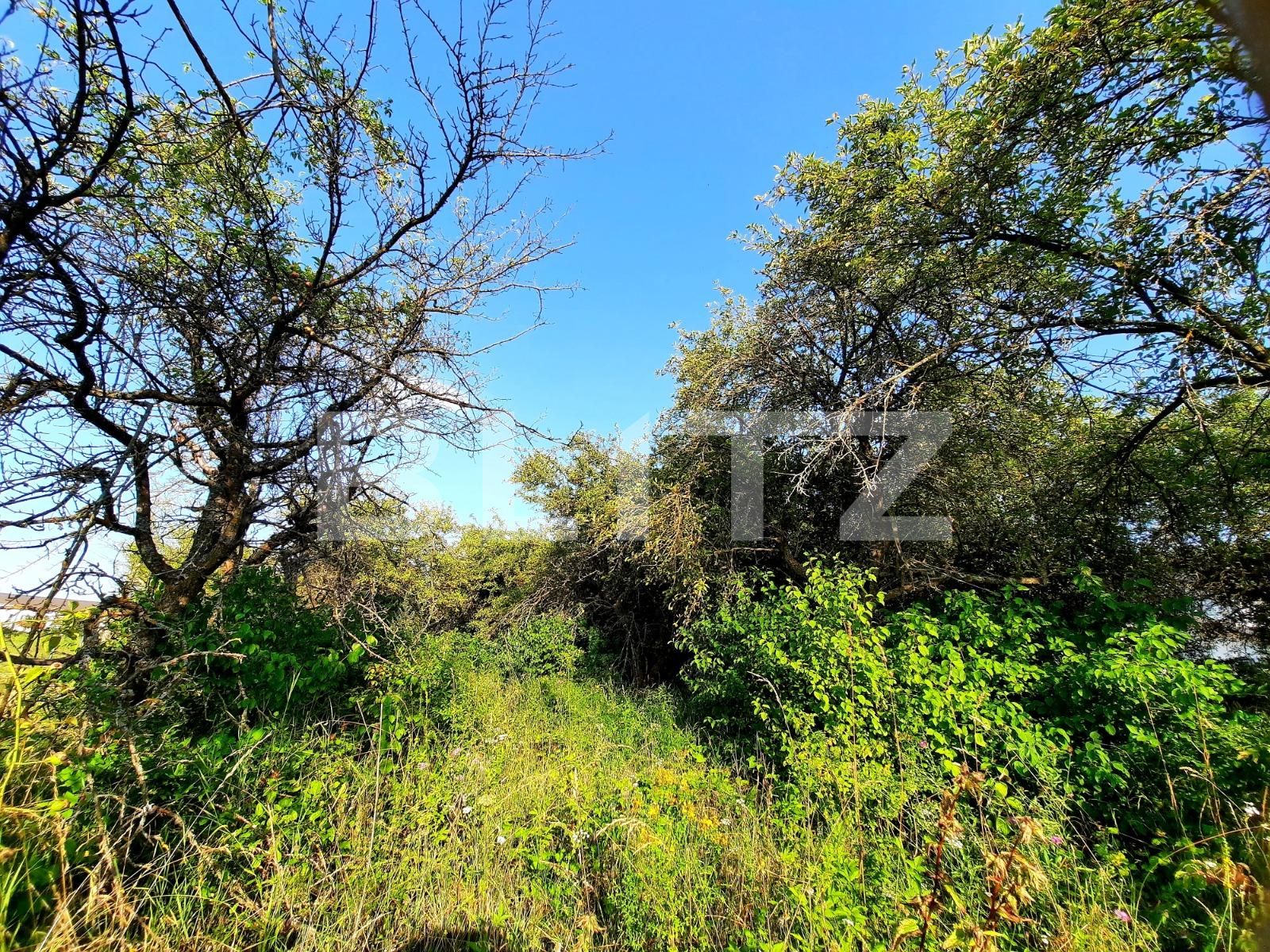 Teren de vânzare Feleacu - 53800TV | BLITZ Cluj-Napoca | Poza7