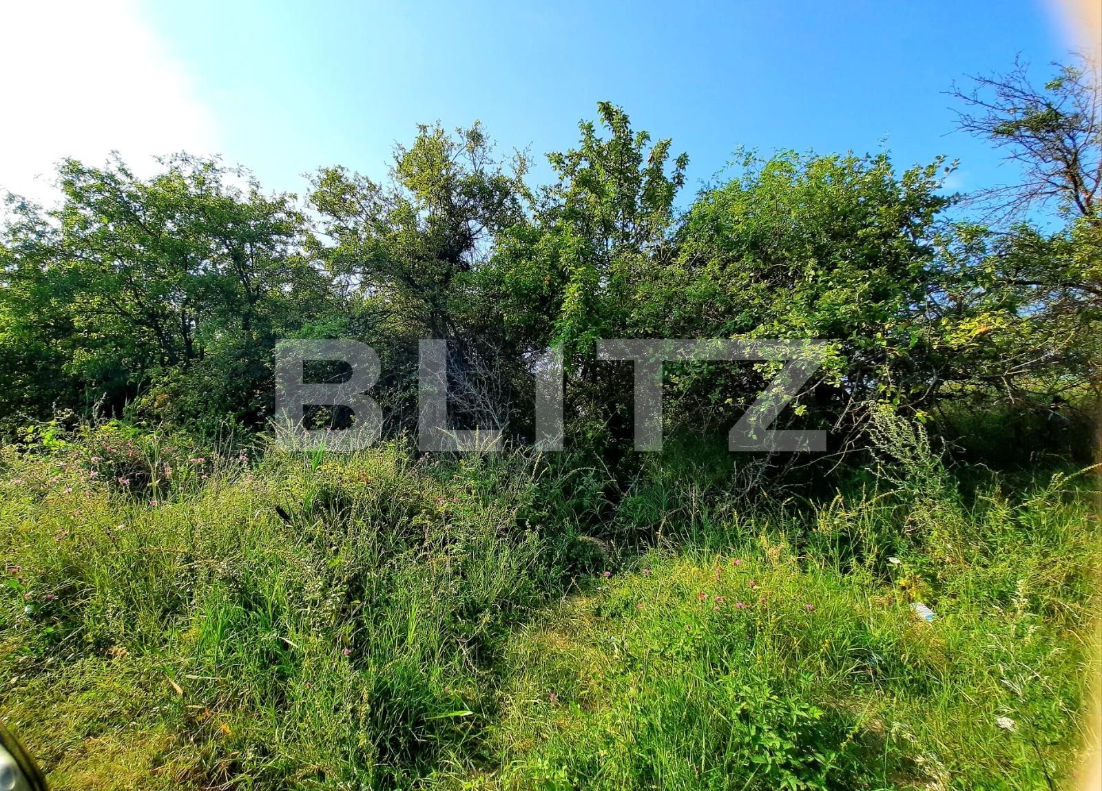 Teren de vânzare Feleacu - 53800TV | BLITZ Cluj-Napoca | Poza5