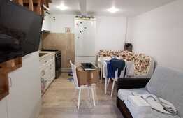 Apartament 2 camere, 30 mp, pet firendly, zona Piata Unirii