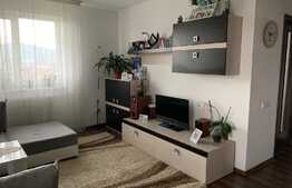 Apartament 3 camere, la cheie, 66 mp., zona Tineretului