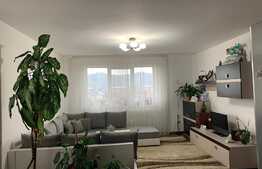 Apartament 3 camere, la cheie, 66 mp., zona Tineretului