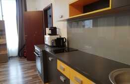 Apartament de lux, 3 camere, decomandat, 100 mp, in zona Piata Unirii