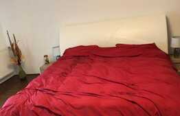 Apartament 3 camere , 150 mp, terasa 30 mp, parcare, zona strazii Republicii