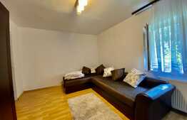 Apartament cu 2 camere, decomandat, pet friendly, 57 mp, in zona strazii Gheorghe Dima 