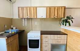 Apartament cu o camera,CHELTUIELI INCLUSE, zona strazii Republicii