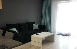 Apartament 2 camere, 55 mp, terasa 50 mp, zona Platinia