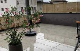 Apartament 2 camere, 55 mp, terasa 50 mp, zona Platinia